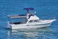 Caribbean 26 Flybridge Cruiser (With Trailer)