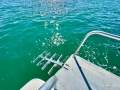 Caribbean 26 Flybridge Cruiser (With Trailer)