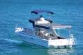 Caribbean 26 Flybridge Cruiser (With Trailer)