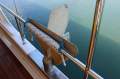 Bert Ellis 50 Ketch Rigged Motor Cruiser