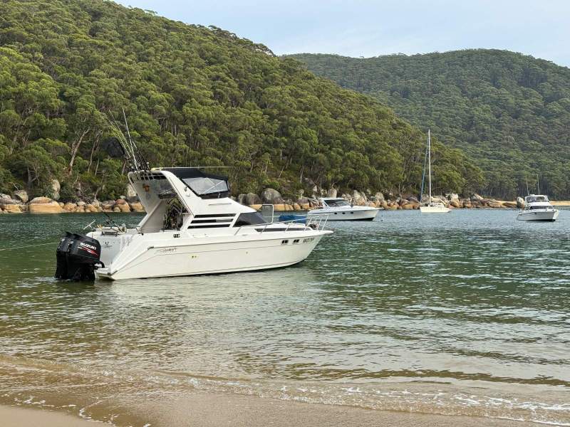 Seaquest 2800 Sports Bridge Cruiser