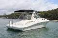 Sea Ray 375 Sundancer Custom