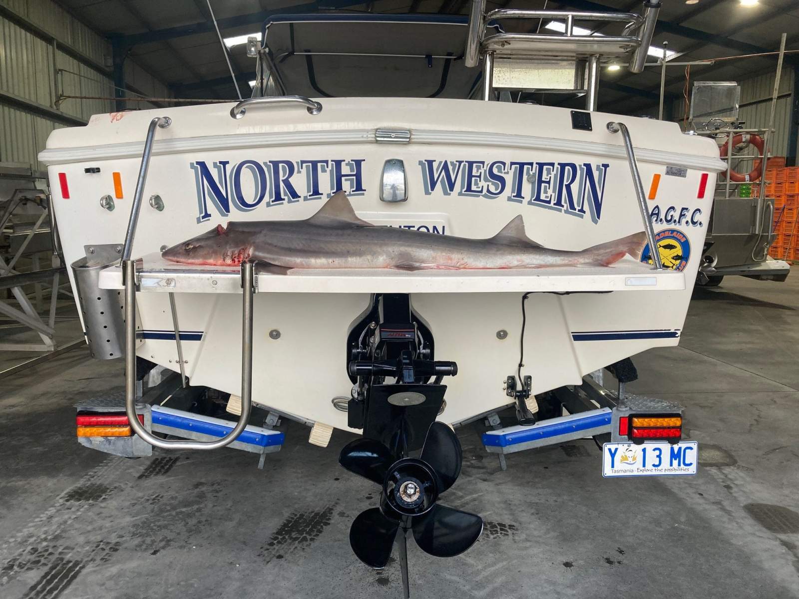Bertram Caribbean 23 Sports Runabout.