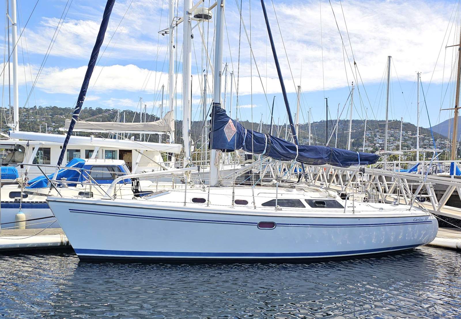 Catalina 310 Curlew II