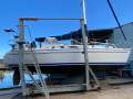 Catalina 310 "Curlew II"