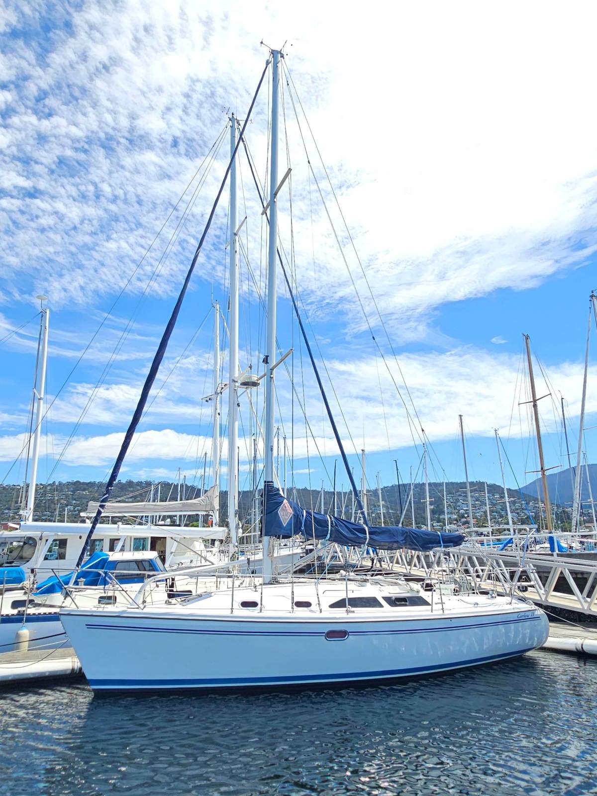 Catalina 310 Curlew II
