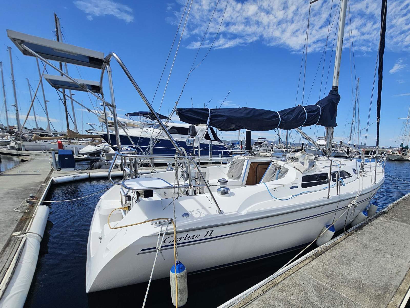 Catalina 310 Curlew II