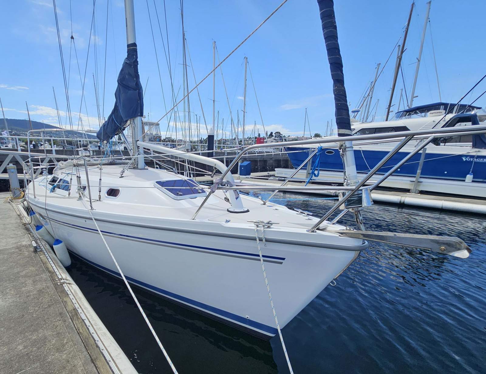 Catalina 310 Curlew II