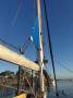 Woods Flica 37