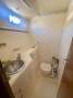 Woods Flica 37