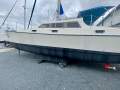 Woods Flica 37