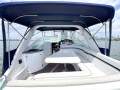 Doral 33 Intrigue