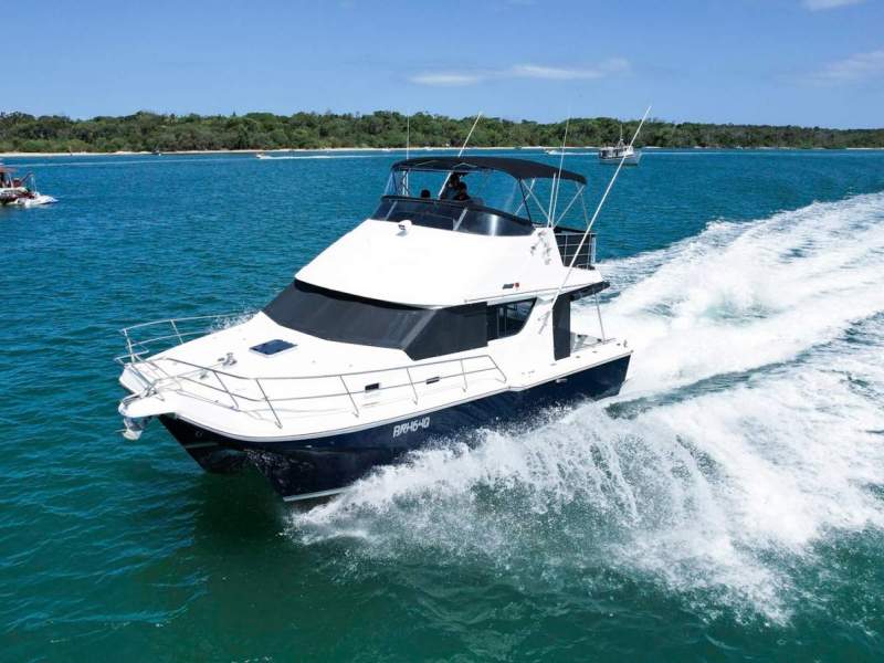 Cougar Cat 1060