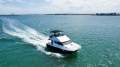 Cougar Cat 1060