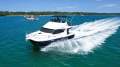 Cougar Cat 1060