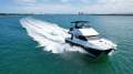 Cougar Cat 1060