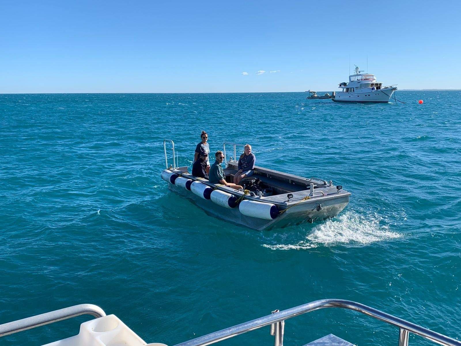 6m WORK PUNT IN SURVEY FOR 12, plus TRAILER:Phat Punt bringing in crew to master vessel