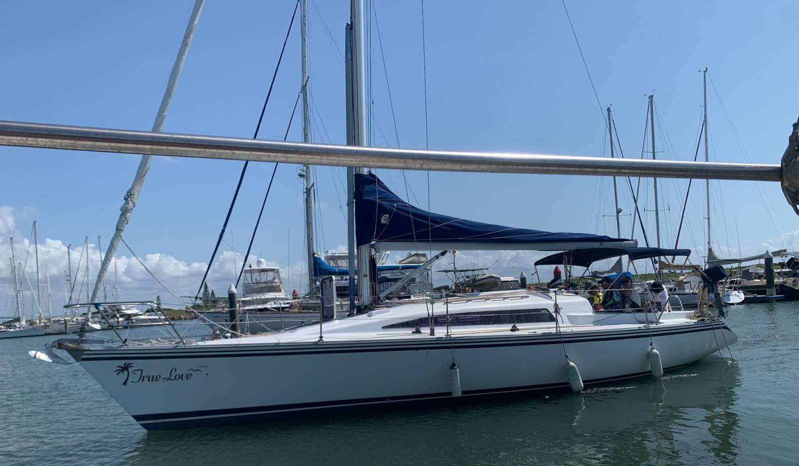 Farr 11.6 Sugar Scoop