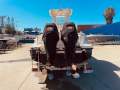 Trophy 2502 Walkaround