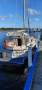 Mangrove Jack Motorsailer 28 foot Yacht