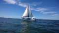 Mangrove Jack Motorsailer 28 foot Yacht