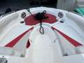 Glastron GT 225