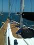Holland 46