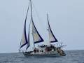Griffiths Ketch Rigged Motor Sailer