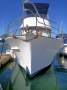 Chung Hwa 34 Aft Cabin Clipper