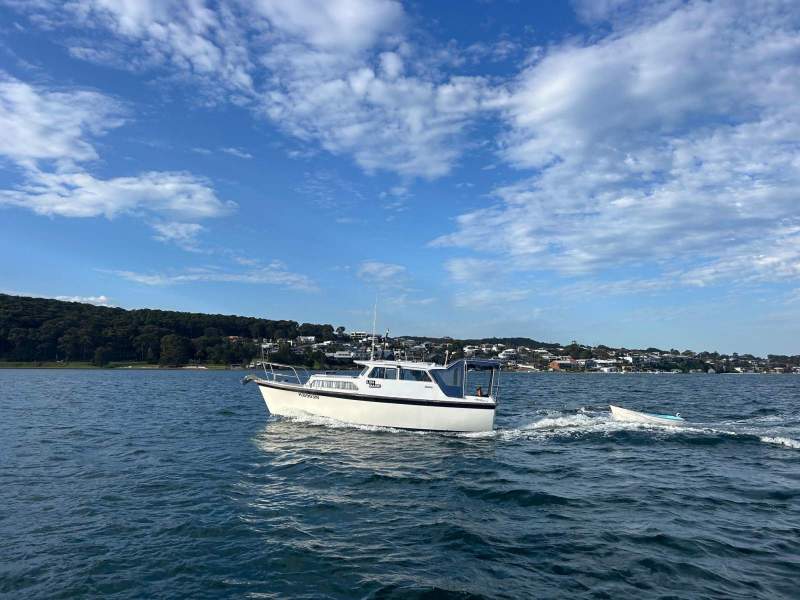 Sterling 26