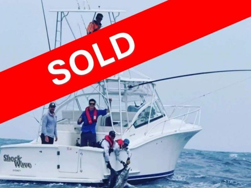 Luhrs 31 Open Tower