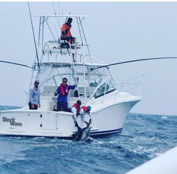 Luhrs 31 Open Tower