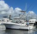 Luhrs 31 Open Tower