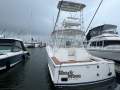 Luhrs 31 Open Tower