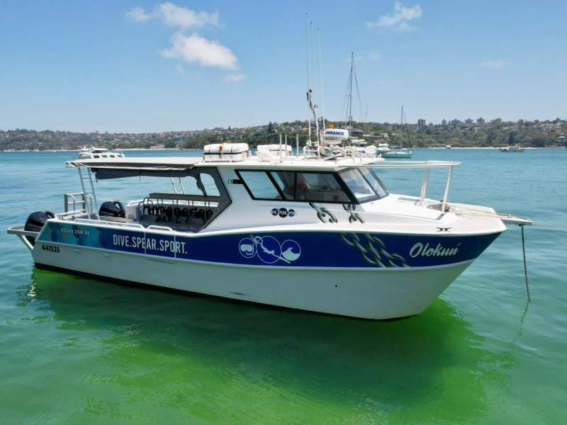 Elite Marine Dive Catamaran