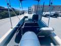Webster 3.8 Manta Ray
