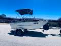 Webster 3.8 Manta Ray