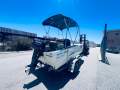 Webster 3.8 Manta Ray
