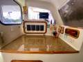 Rogers 10.5 North Reef Daggerboard Performance Catamaran
