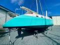 Rogers 10.5 North Reef Daggerboard Performance Catamaran