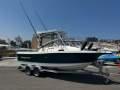 Trophy 2052 Walkaround 2005 MODEL 4.3L MERCRUISER MPI