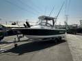 Trophy 2052 Walkaround 2005 MODEL 4.3L MERCRUISER MPI