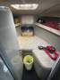 Commodore 33 Flybridge Twin Cabin Cruiser WILL SUIT RIVIERA, THOMASCRAFT, BERTRAM BUYERS