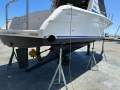 Commodore 33 Flybridge Twin Cabin Cruiser WILL SUIT RIVIERA, THOMASCRAFT, BERTRAM BUYERS
