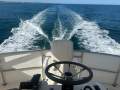 Commodore 33 Flybridge Twin Cabin Cruiser WILL SUIT RIVIERA, THOMASCRAFT, BERTRAM BUYERS