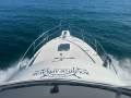 Commodore 33 Flybridge Twin Cabin Cruiser WILL SUIT RIVIERA, THOMASCRAFT, BERTRAM BUYERS