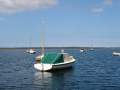 Lacco Couta Boat