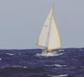 Oyster 46