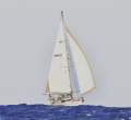 Oyster 46