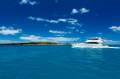Maritimo 60 Flybridge